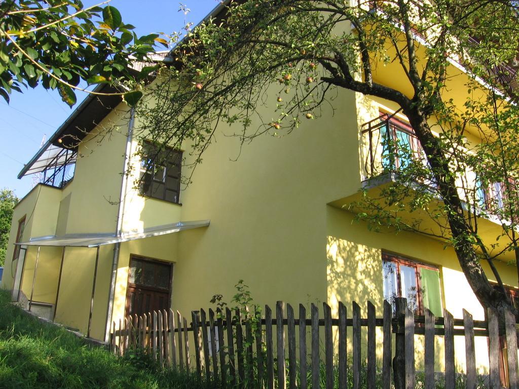 Guest House Pribojska Banja Exterior photo